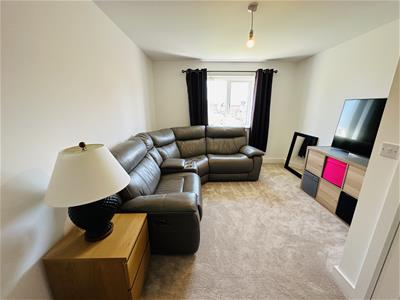Picture 20